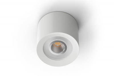 LED Ceiling Spot RGBW Tree White thumb